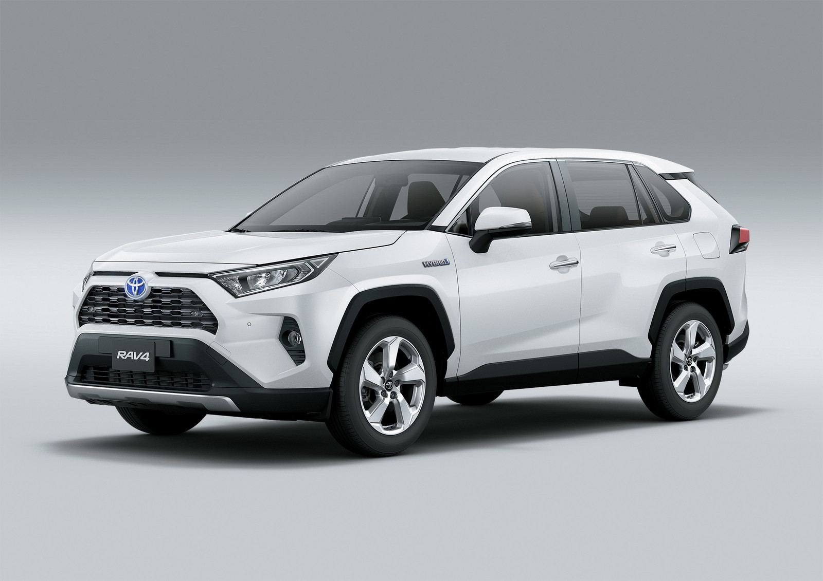 RAV41808-3036.jpg